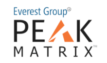 Everest Group Peak Matrix